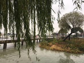 苏州西山爆料事件视频,视频揭露惊人真相 第2张 苏州西山爆料事件视频,视频揭露惊人真相 第2张