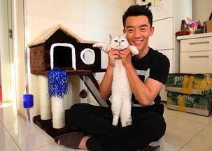 娱乐八卦爆料郑恺,娱乐圈再掀波澜 第3张 娱乐八卦爆料郑恺,娱乐圈再掀波澜 第3张