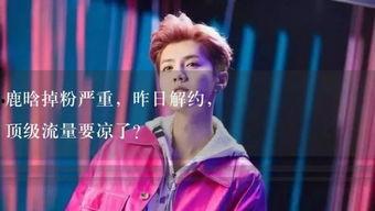 娱乐吃瓜讲故事的小说,吃瓜群众逆袭记  第1张